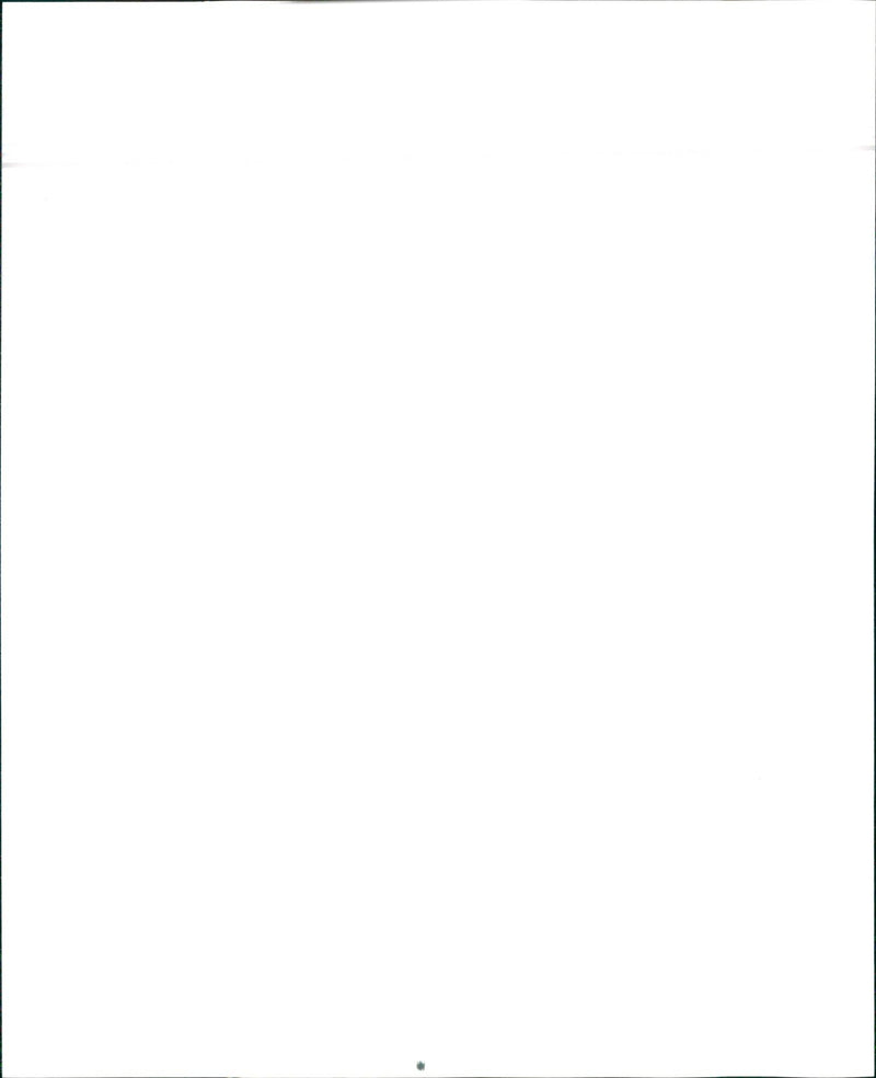 1992 Infiniti Q45 and 1992 Infiniti G20 - Vintage Photograph