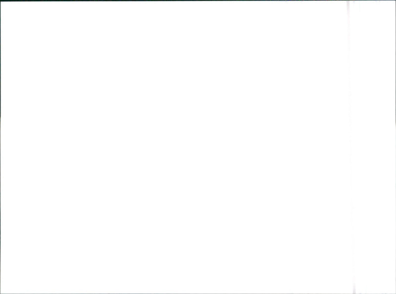 Subaru Caspita - Vintage Photograph