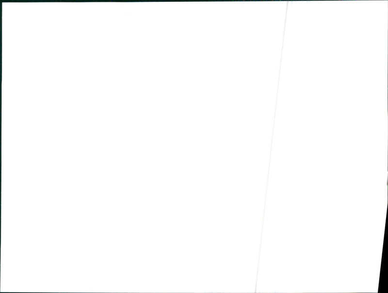 1989 Lancia  Y10 GTLe.Kat - Vintage Photograph