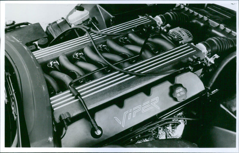 1992 Dodge Viper RT/10 - Vintage Photograph