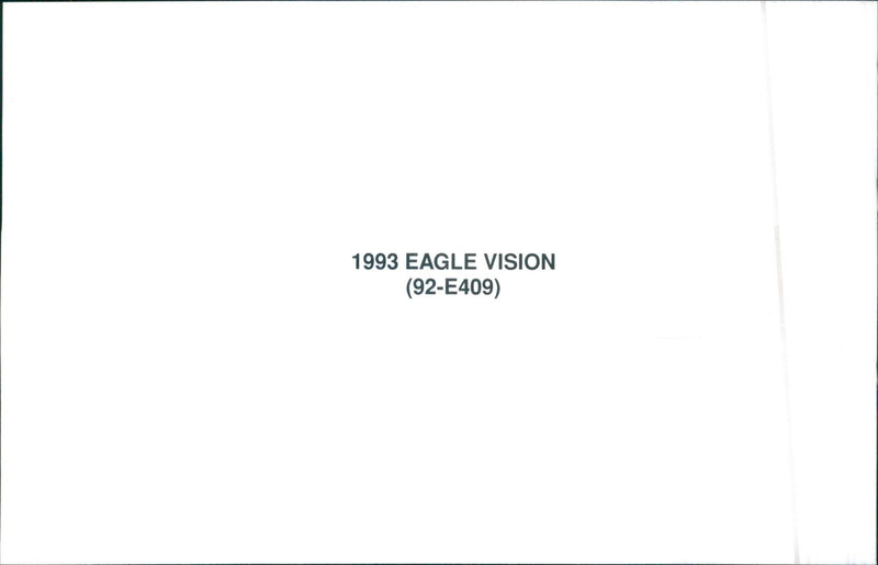 1993 Eagle Vision - Vintage Photograph