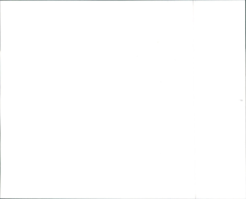 1991 LEXUS ES 300 - Vintage Photograph