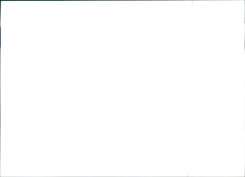 1993 Citroen Xantia - Vintage Photograph