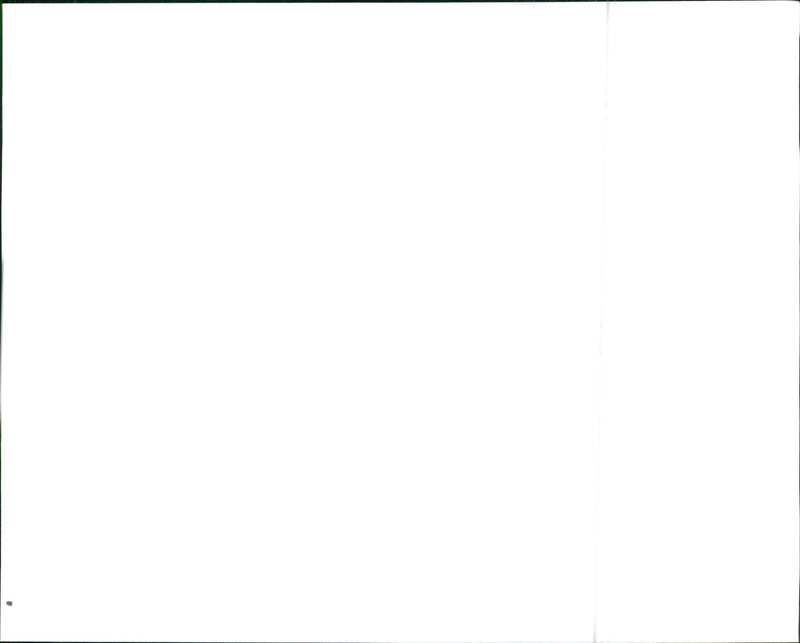 1990 Chevrolet Camaro - Vintage Photograph