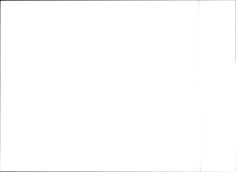 Daihatsu Applause - Vintage Photograph