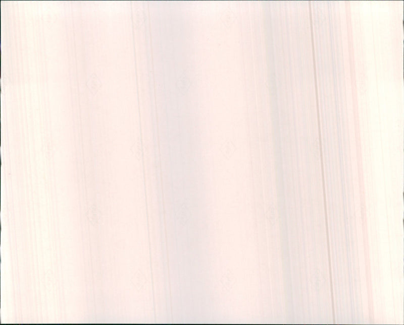 1992 Chevrolet Lumina Sizigi - Vintage Photograph