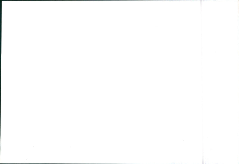 Mitsubishi Wagon - Vintage Photograph