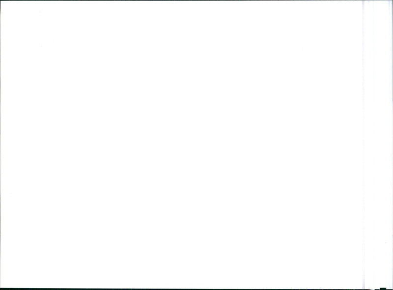 1993 Citroen ZX 16V - Vintage Photograph