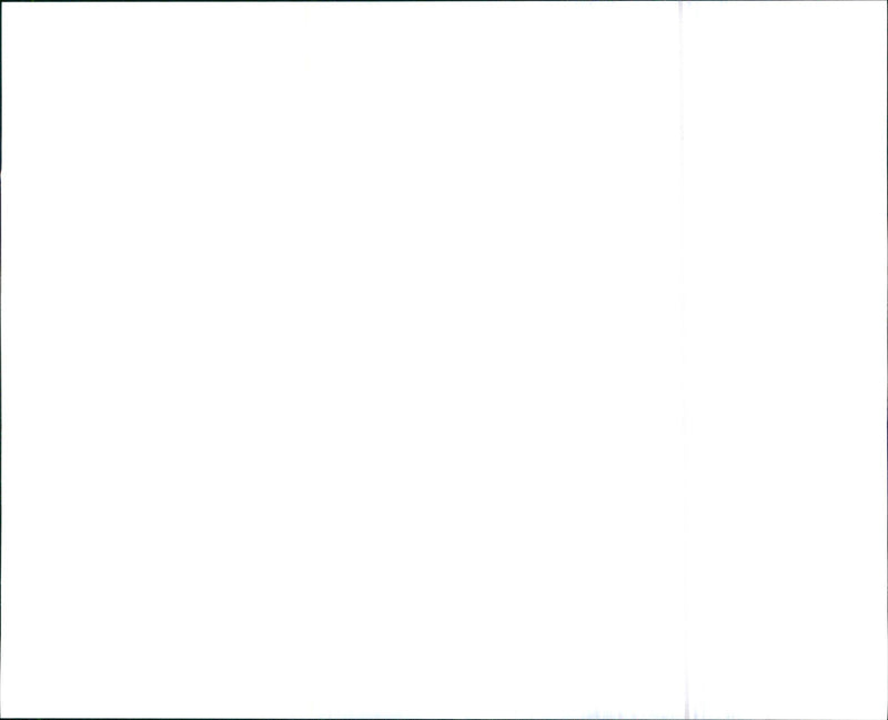 1992 Chevrolet Doodley Pickup - Vintage Photograph