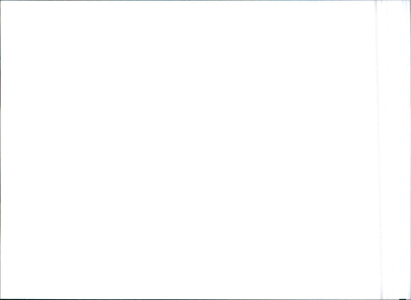 1993 Citroen ZX Furio - Vintage Photograph