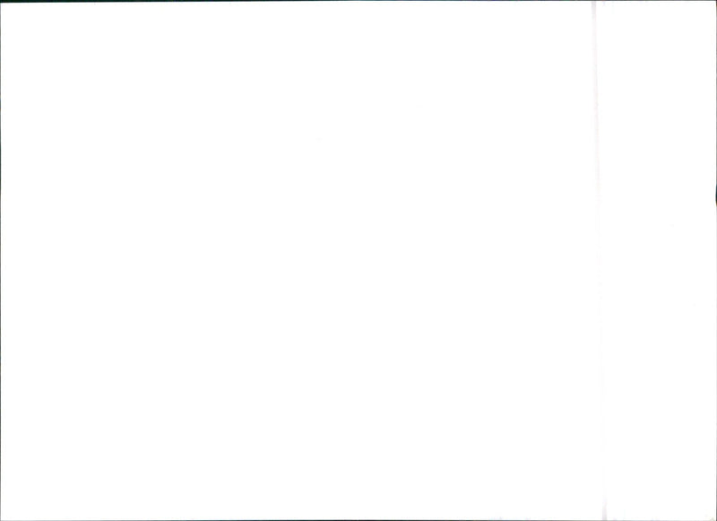 1993 Citroen Xantia - Vintage Photograph