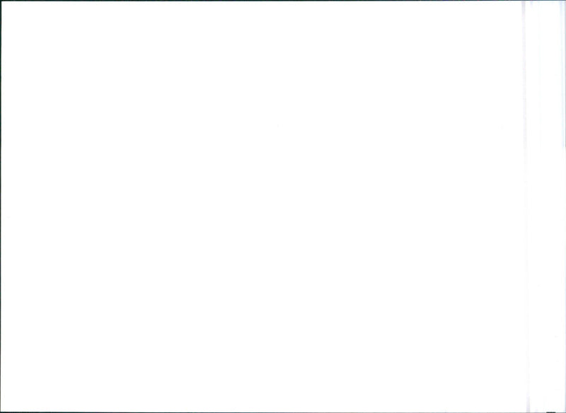 1993 Citroen ZX Aura - Vintage Photograph