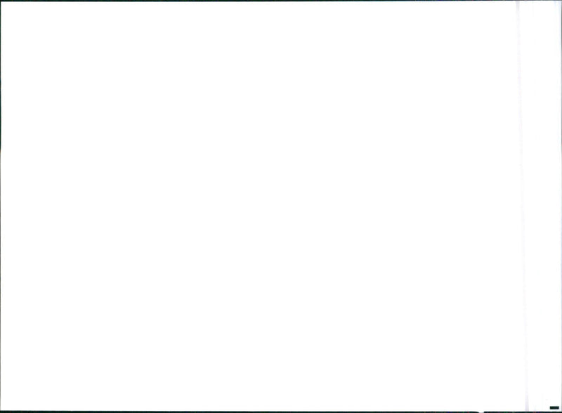 1993 Citroen ZX 16v - Vintage Photograph