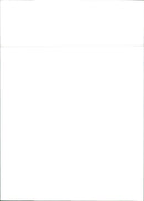 Renault 9 GTL - Vintage Photograph