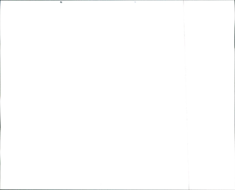 1990 Chevrolet Lumina Coupe - Vintage Photograph