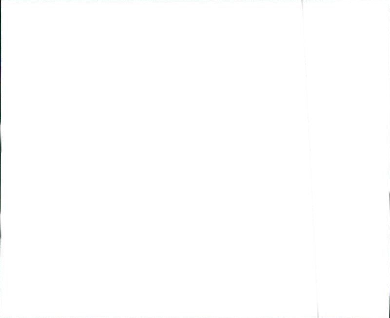 1990 Lincoln Continental and 1940 Zephyr Continental Cabriolet - Vintage Photograph