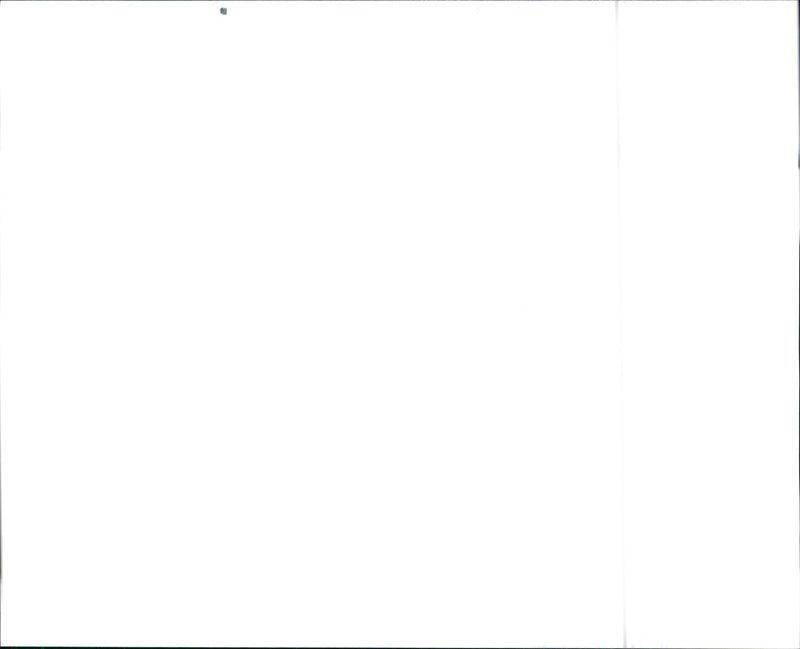 1990 Pontiac Grand Prix LE Sedan - Vintage Photograph