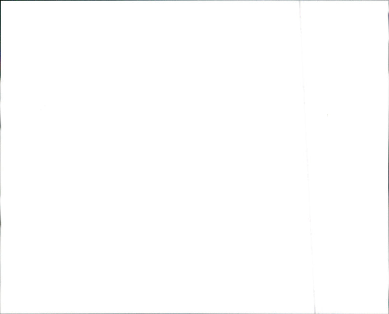 1991 Mercury Capri - Vintage Photograph