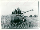 1971 CEREALS HARVEST FNP ECONOMY LLE SIGNATURE AGRICULTURE - Vintage Photograph