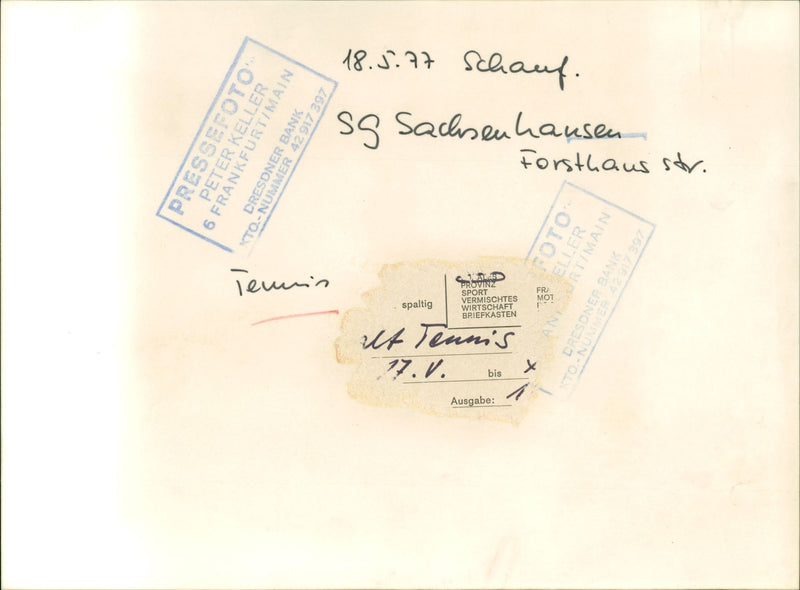 Tennis 1977 - Vintage Photograph