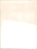 AGRICULTURE CEREALS CEREAL PRODUCTION PEAKED AND CEREA - Vintage Photograph