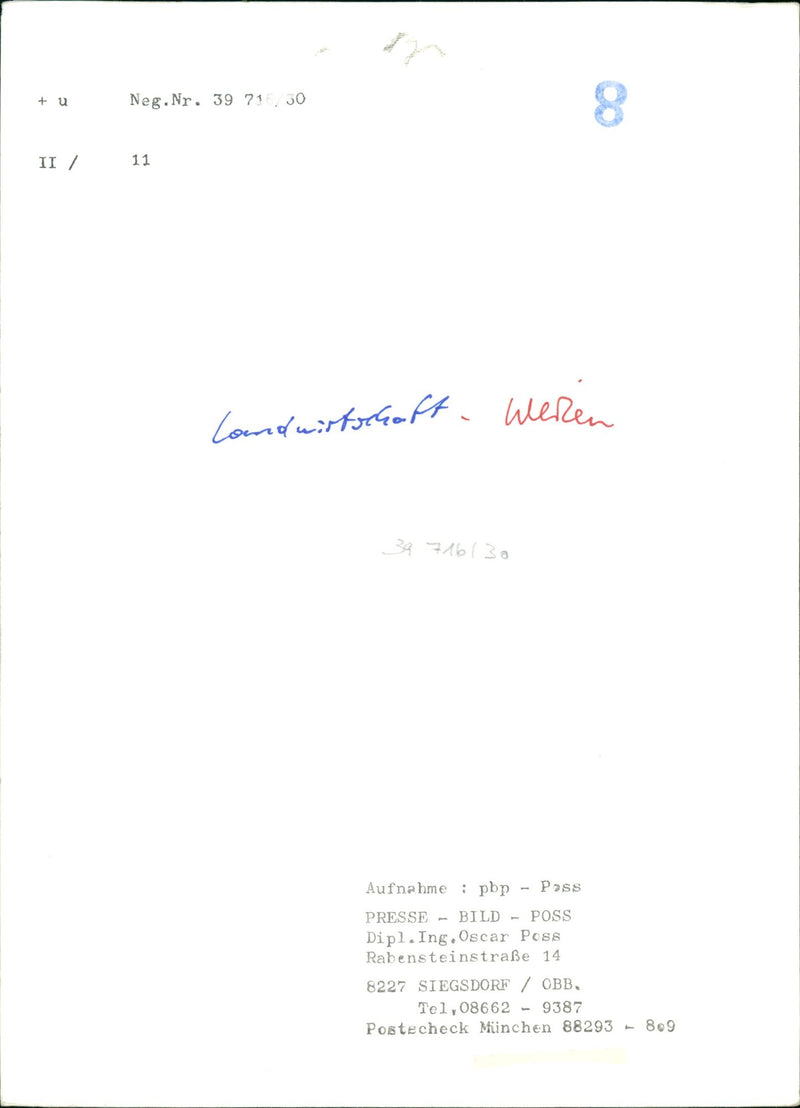 CEREALS AGRICULTURE WEREN PBP POSS PRESS BILD DIPL ING OSCAR - Vintage Photograph