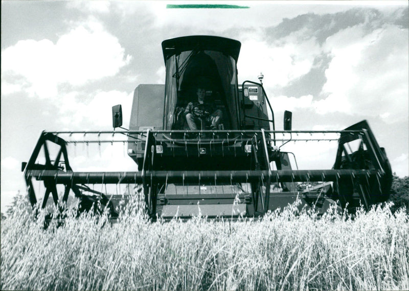 Getreideernte - Vintage Photograph