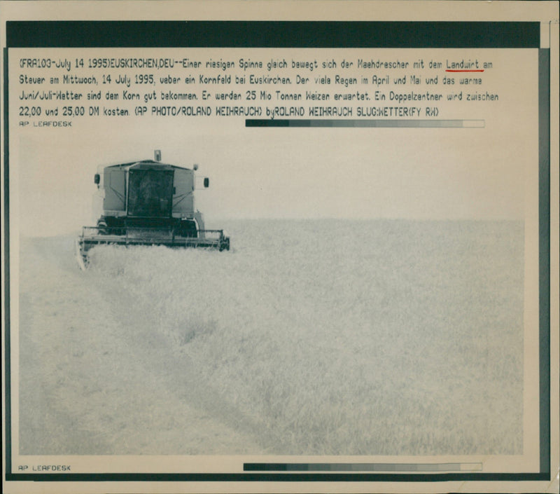 Getreideernte - Vintage Photograph