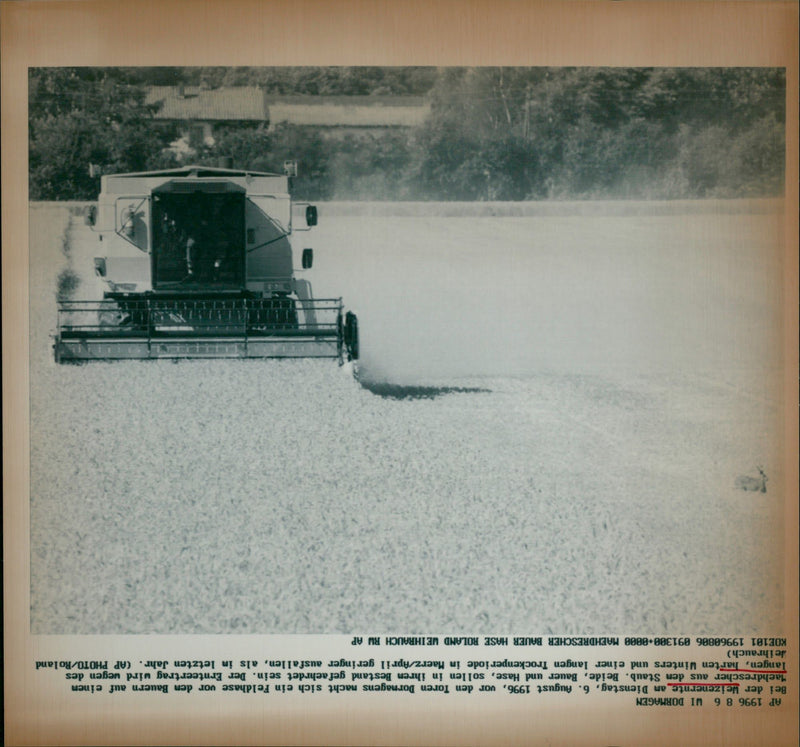 Getreideernte - Vintage Photograph