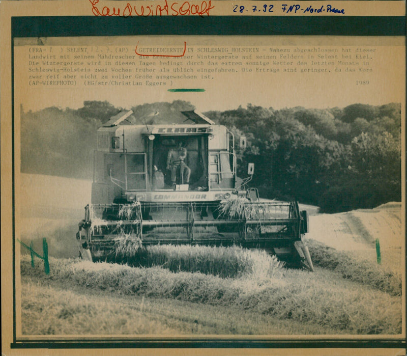 Getreideernte - Vintage Photograph