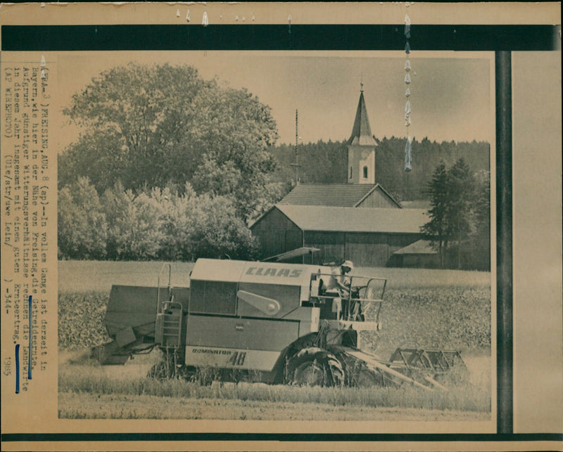 Getreideernte - Vintage Photograph