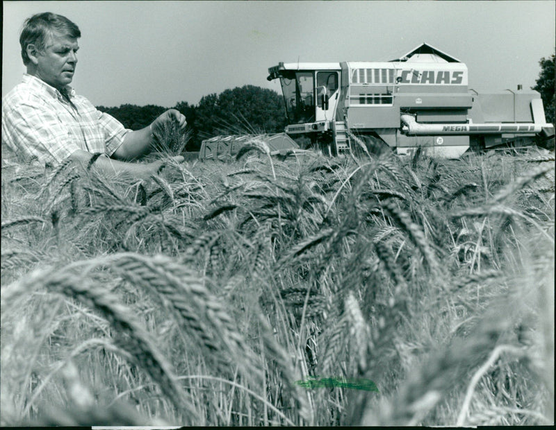 Ernteprüfer - Vintage Photograph