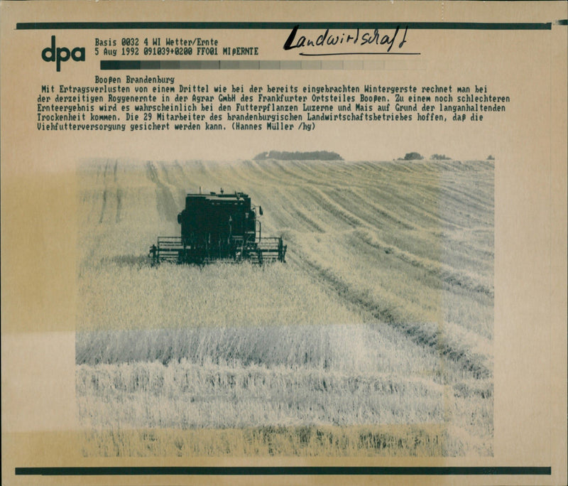 Getreideernte - Vintage Photograph