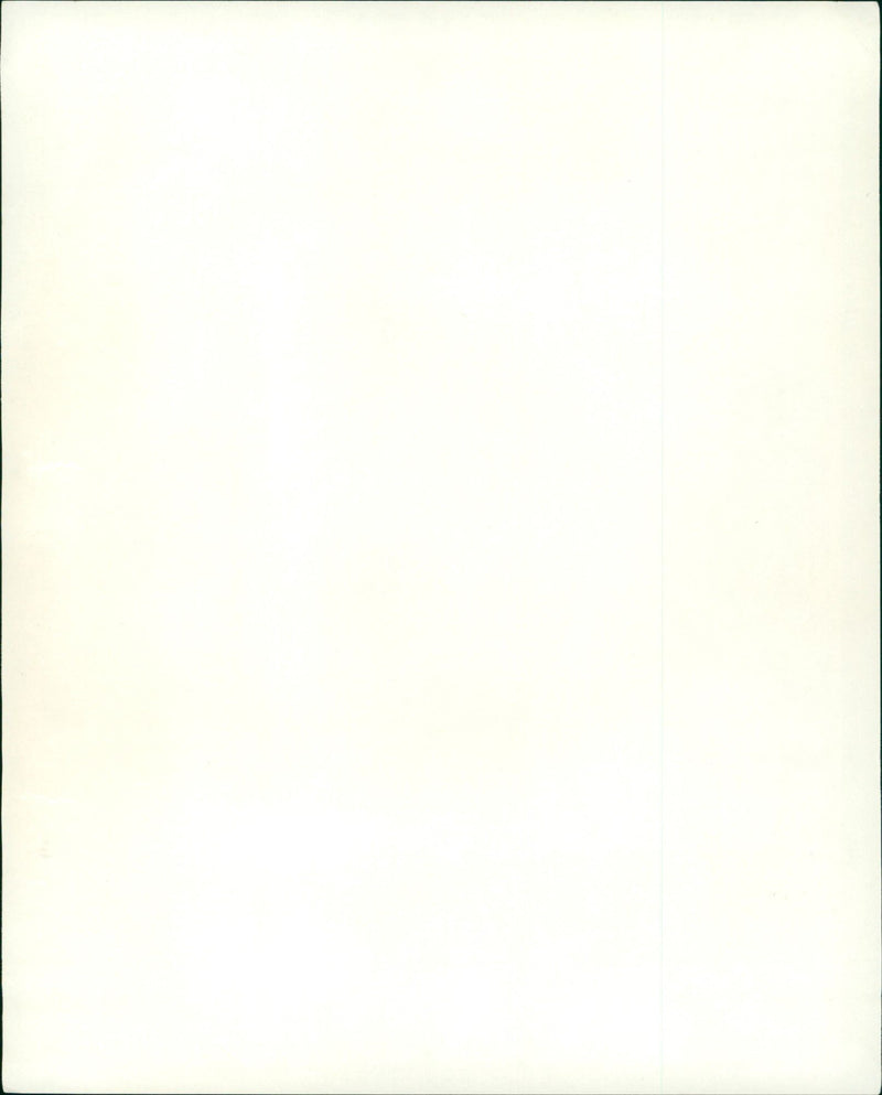 Heuernte - Vintage Photograph