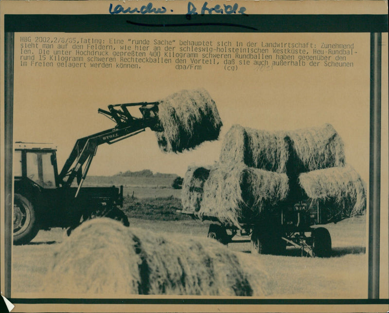 Heuernte - Vintage Photograph