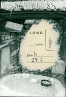 Animal enclosures - Vintage Photograph