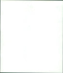 1937 Mercedes-Benz 540 K Spezial-Roadster - Vintage Photograph