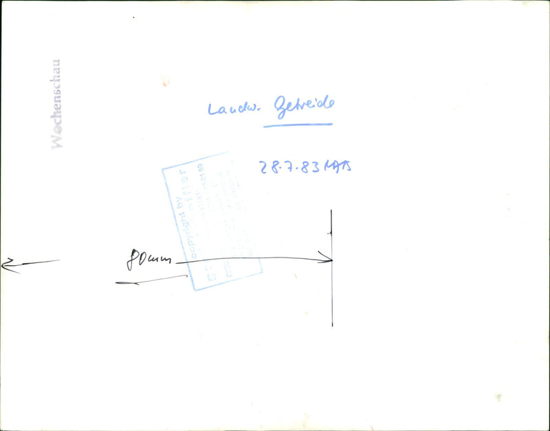 Agriculture grain - Vintage Photograph