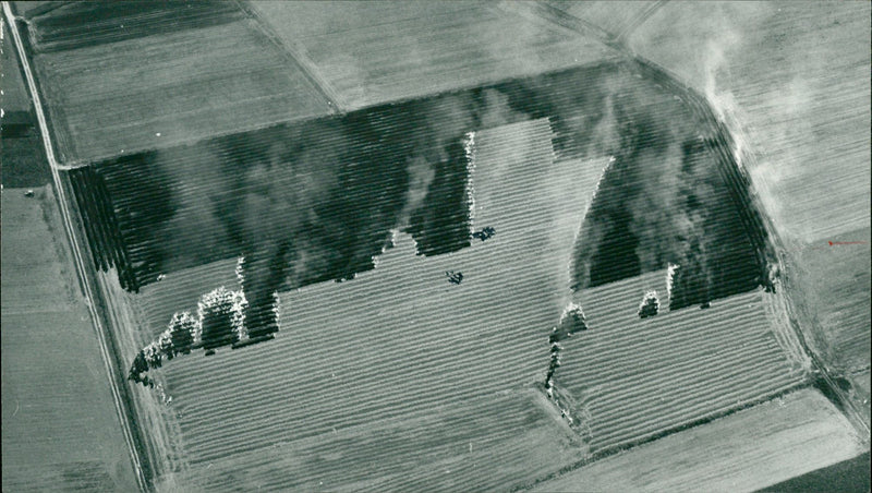 Landwirtschaft - Brennende Stoppelfelder - Vintage Photograph