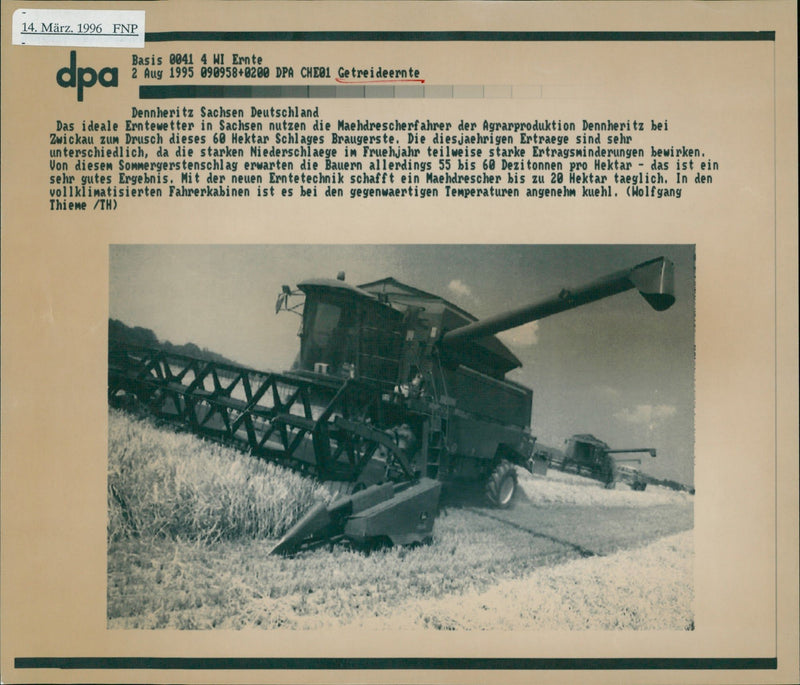 Getreideernte - Vintage Photograph