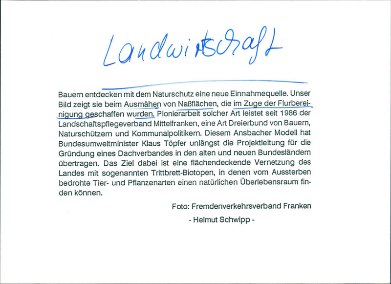 Ausmähen von Nassflächen - Vintage Photograph