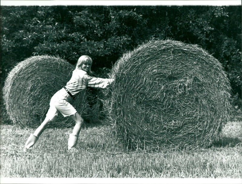Stroh-Rundballen - Vintage Photograph