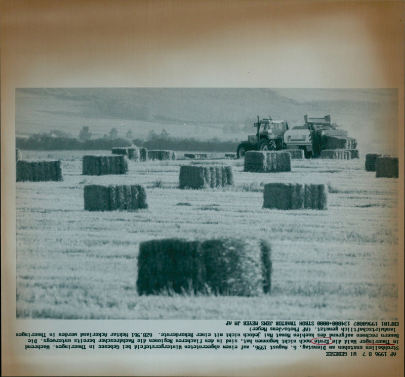 Strohballen - Vintage Photograph