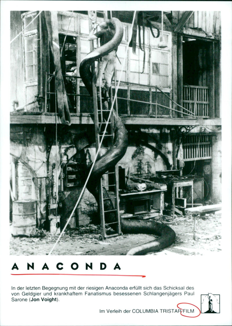 FILM MNACONDA STARS JON VOIGHT SNAKE HUNTER POSSESSED FOR PAUL - Vintage Photograph