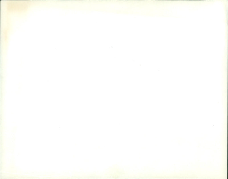 AGRICULTURE CEREALS GULW TREIA BERLIN HARVEST IDYLL - Vintage Photograph