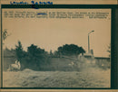 AGRICULTURE CEREALS GULW TREIA BERLIN HARVEST IDYLL - Vintage Photograph