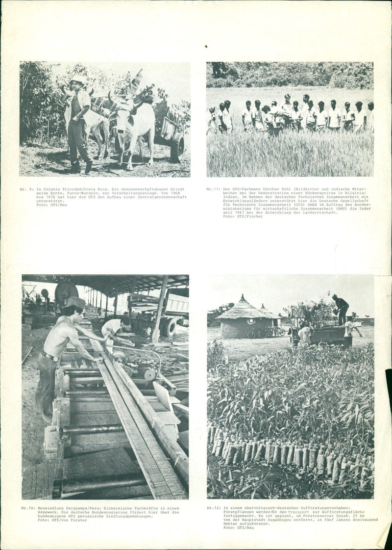 1968 AGRICULTURE CEREALS HARVEST PART TECHNICAL COOPERATION - Vintage Photograph