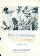 1968 AGRICULTURE CEREALS HARVEST PART TECHNICAL COOPERATION - Vintage Photograph