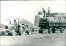 Agriculture grain - Vintage Photograph