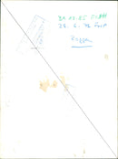 1985 AGRICULTURE CEREALS CEREAL MOST POPULAR PETER - Vintage Photograph